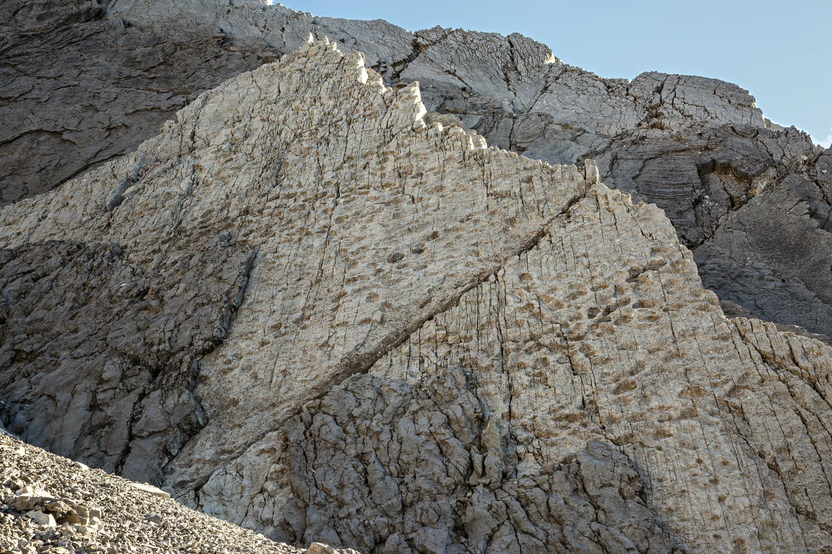 Photographer finds thousands of Triassic dinosaur prints on sheer mountain cliffs