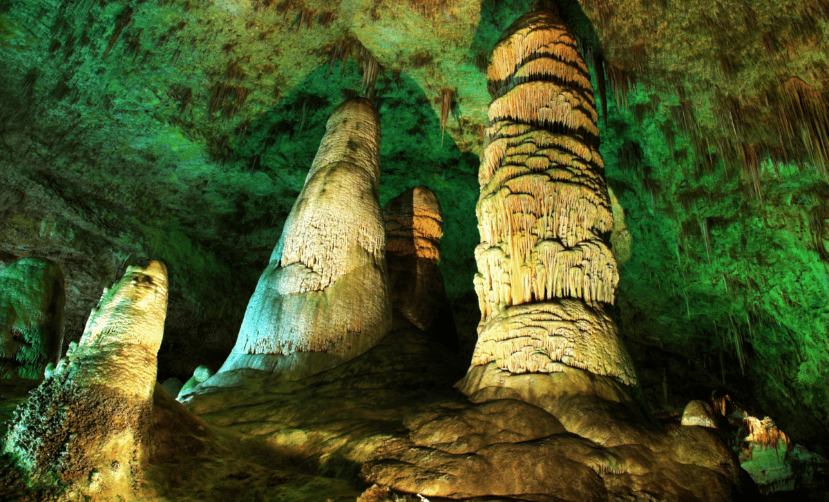 A Hidden World for 49 Million Years