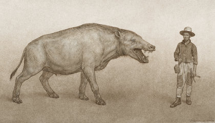 This Giant Carnivore Ran on Hooves. Scientists Are Investigating Its Massive Skull and Crushing Teeth to Decipher the Beast's True Nature