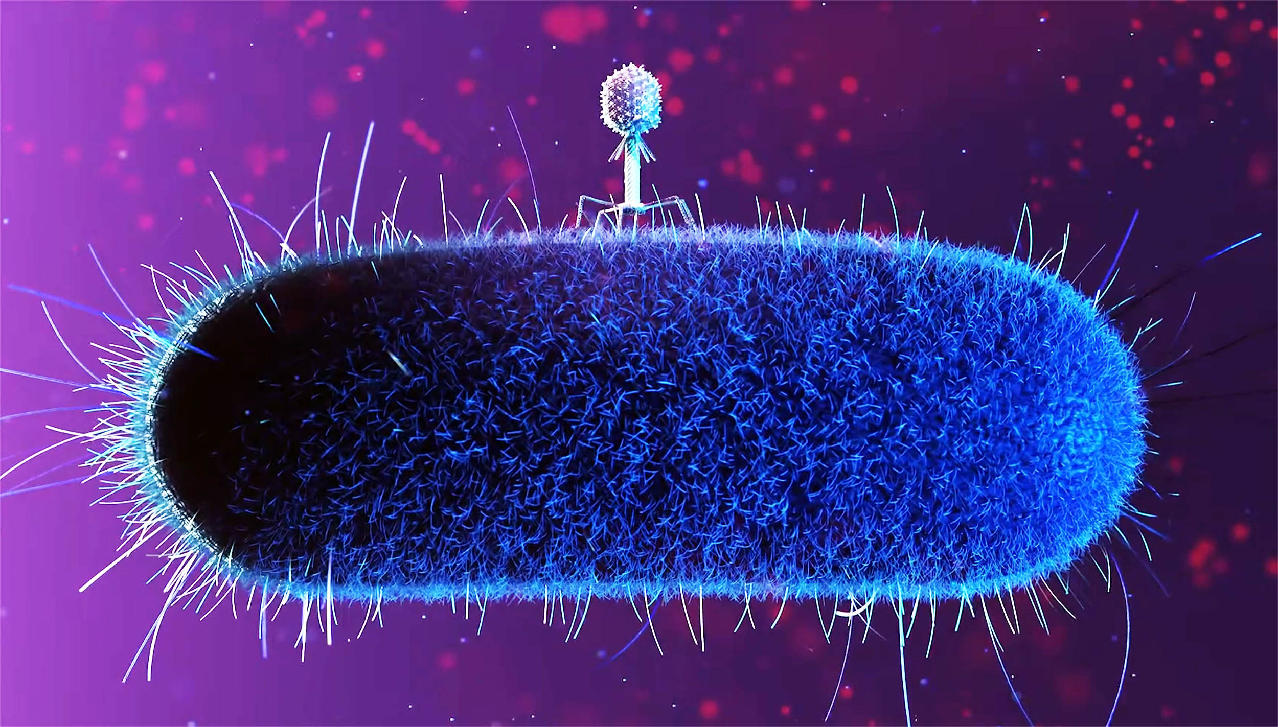 Mutants called ‘space phages’ could solve the global antibiotic crisis