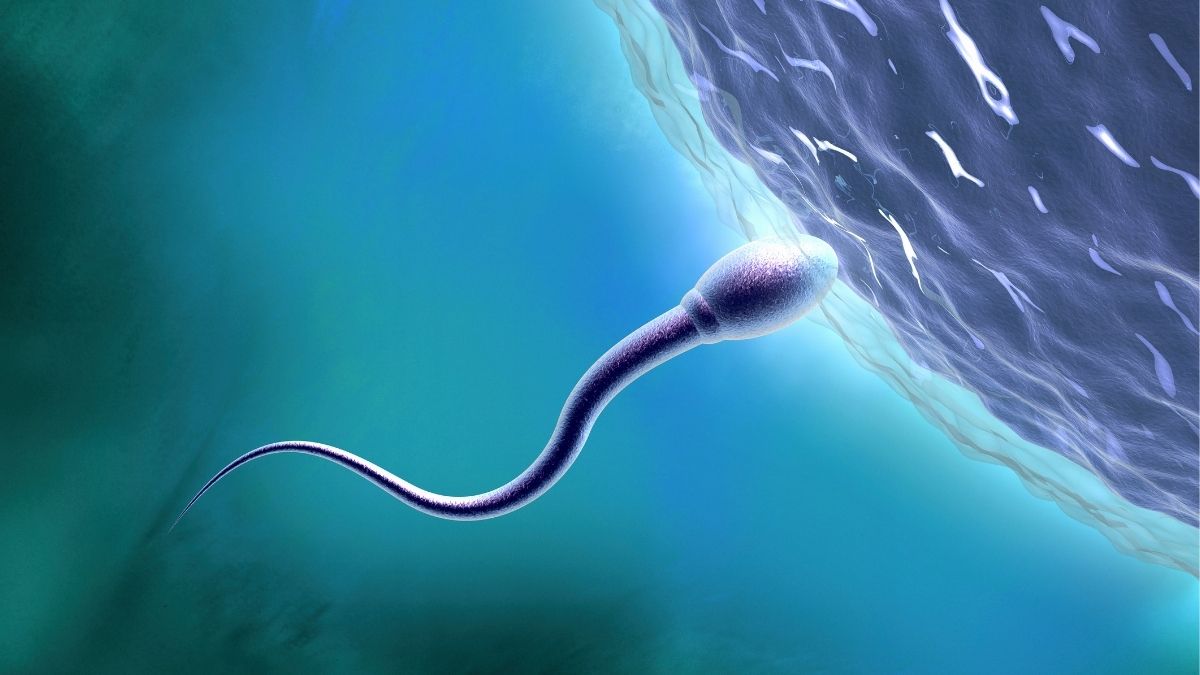 Scientists Say It’s Time to Learn More About Sexual Health in Space : ScienceAlert