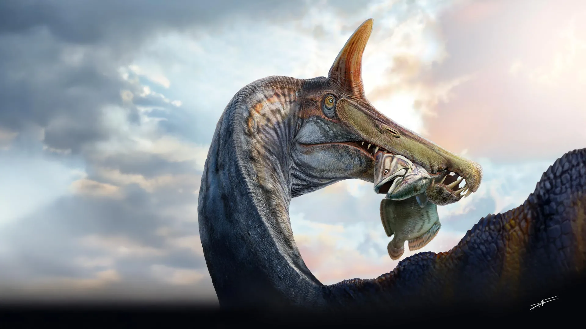 A giant blade-crested spinosaurus, the “hell heron,” discovered in the Sahara
