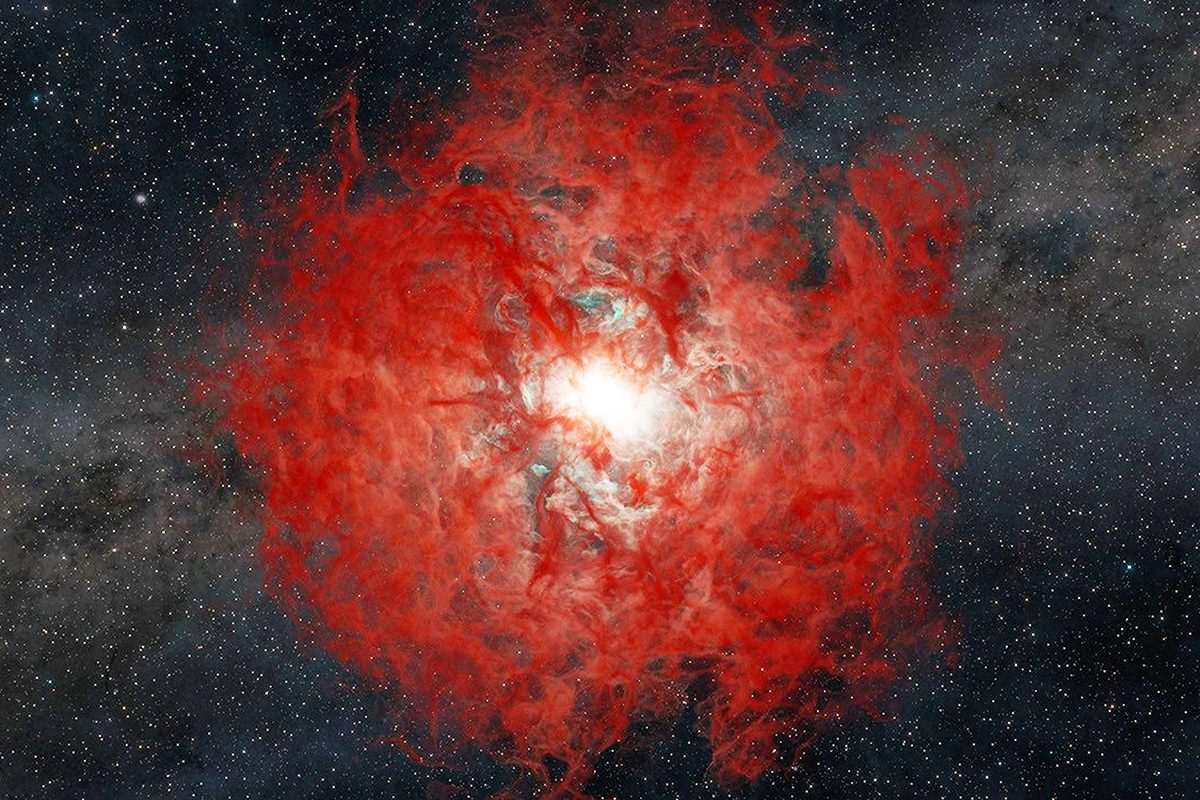 Scientists get clearest view ever of star collapsing into a black hole. And they very nearly missed it