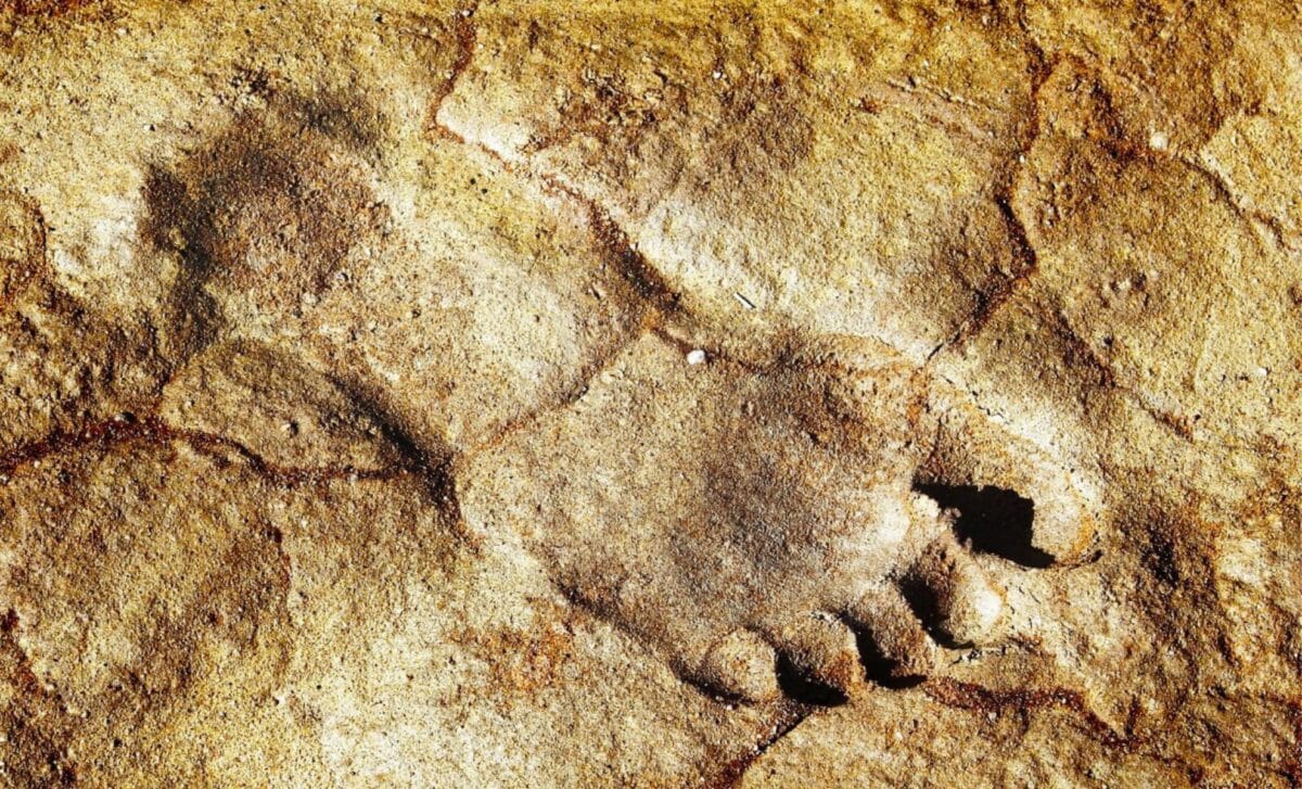 115,000-Year-Old Human Footprints Found in Remote Desert Where They Shouldn’t Exist