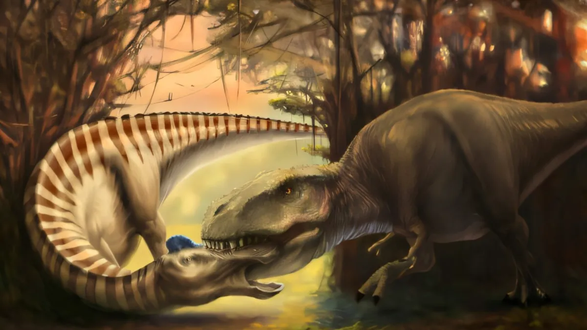 A Tyrannosaurus tooth embedded in dinosaur skull tells a violent story