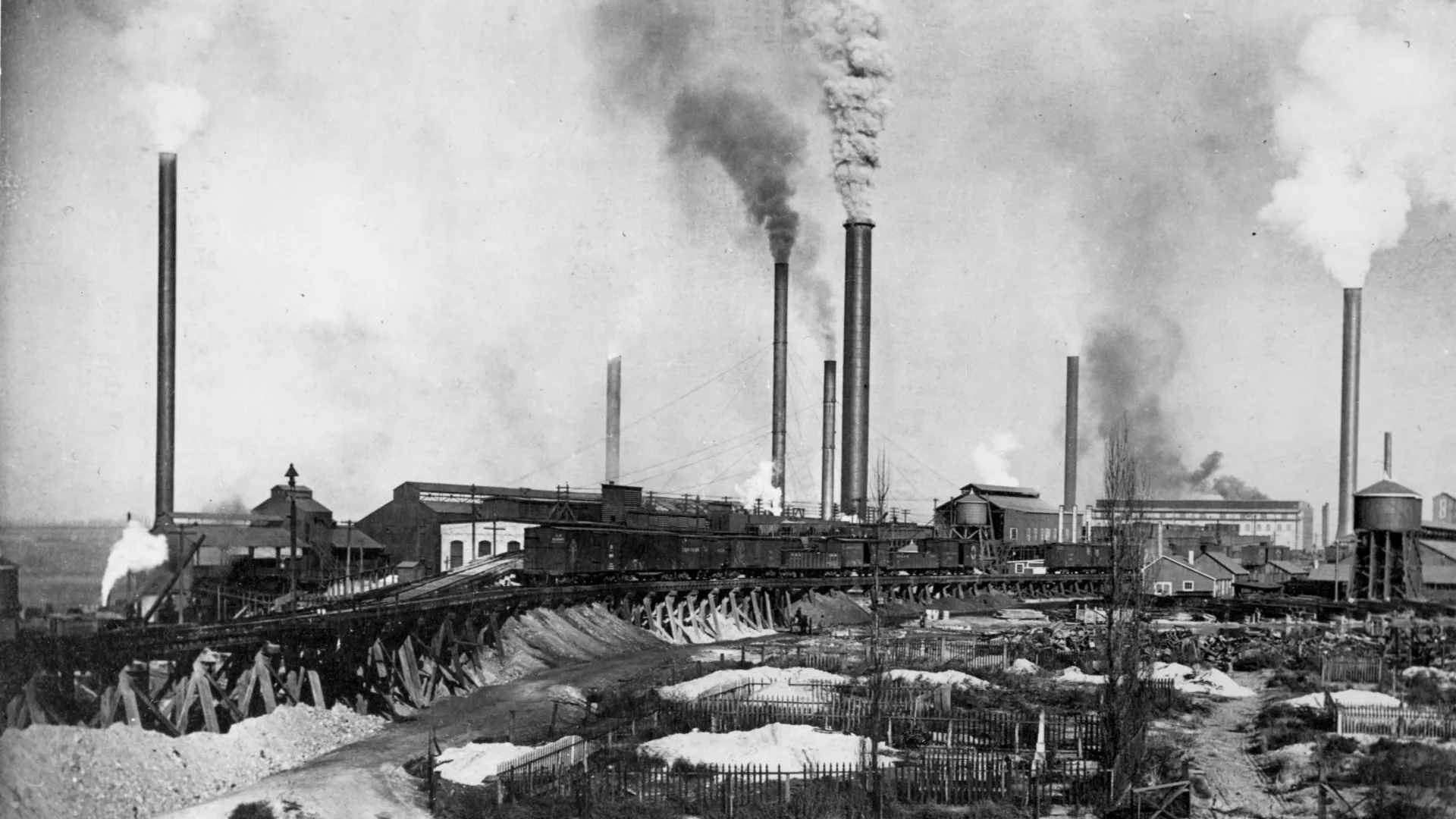 A century of hair shows how lead exposure collapsed