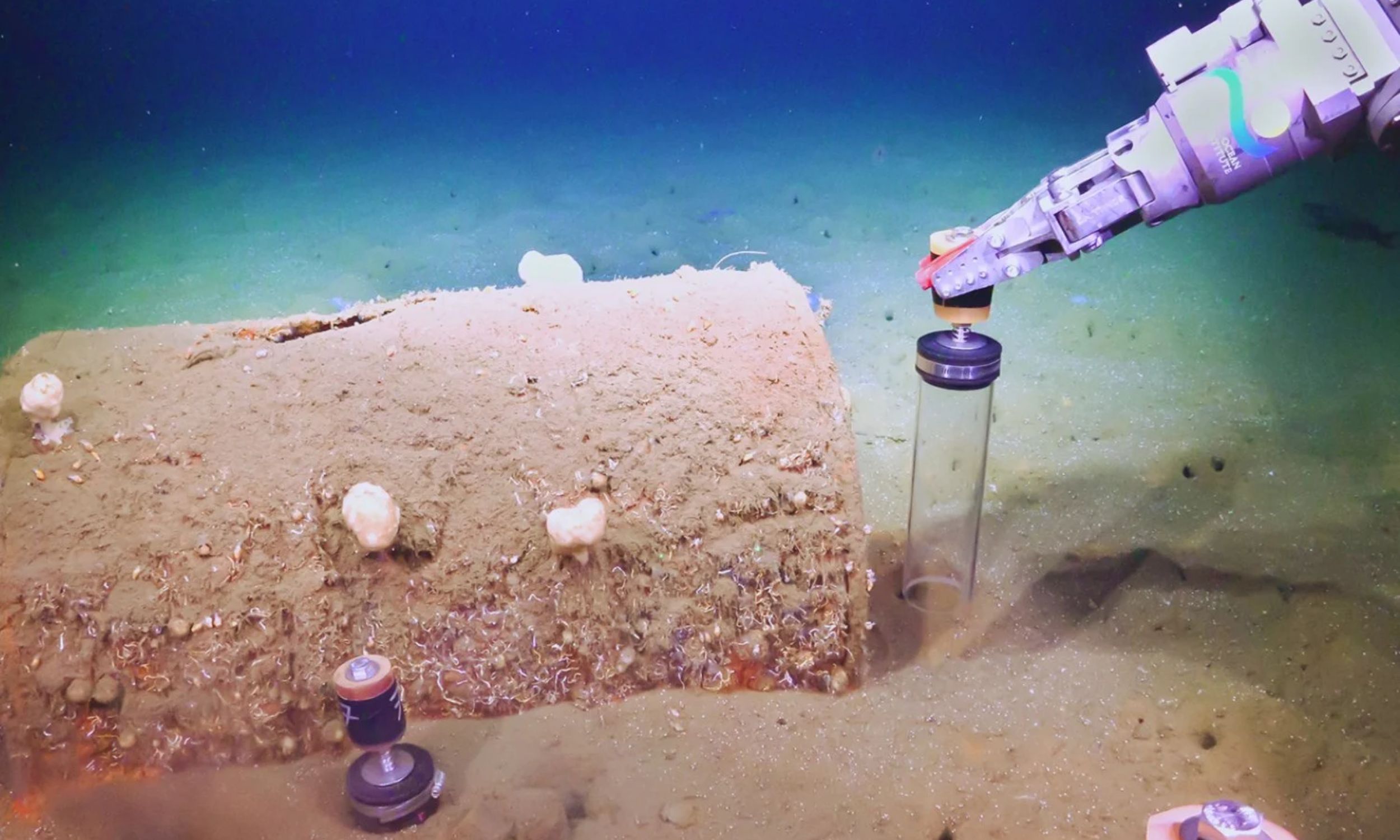 Thousands of barrels of toxic waste are leaking into the ocean