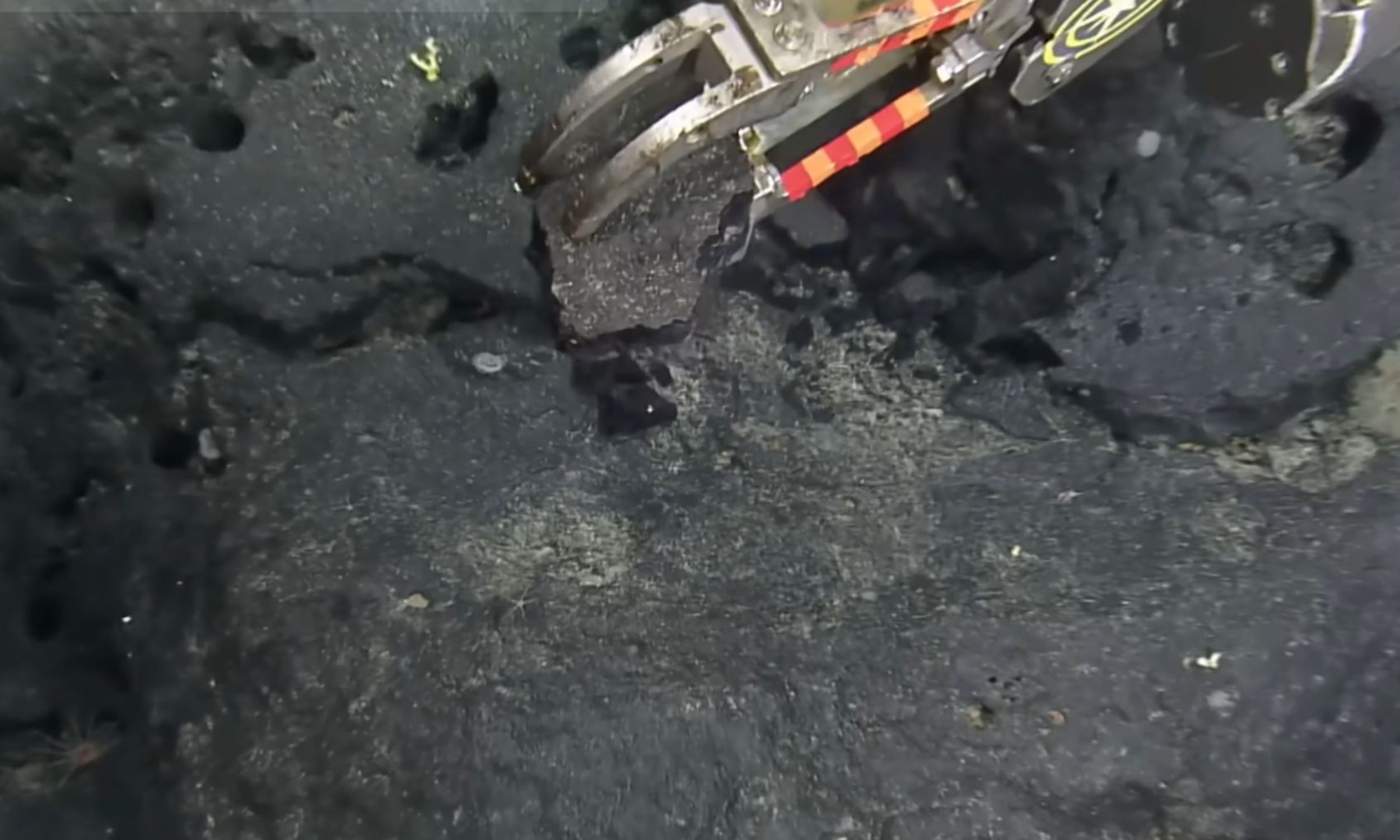 Scientists find a “yellow brick road” thousands of feet below the sea