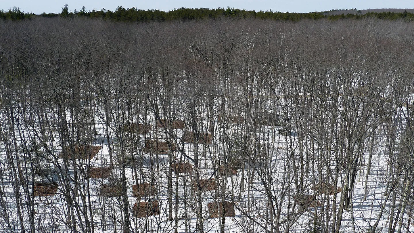 Climate change is affecting microbes. It could have implications for all life on Earth