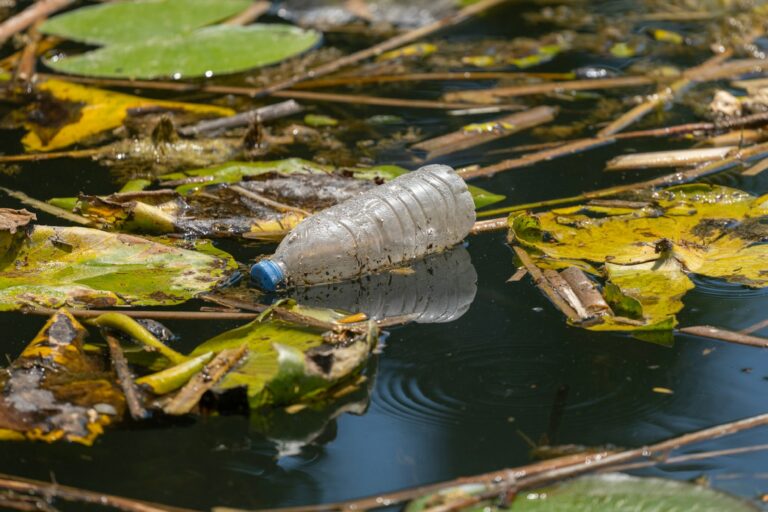 Promising breakthrough creates plastics that self-deconstruct on cue: Study