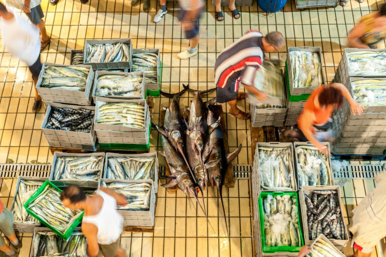 Seafood fraud is rampant, imperiling fish populations, report finds