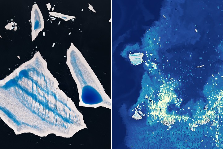 Ailing “Megaberg” Sparks Surge of Microscopic Life