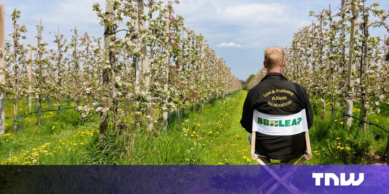 BBLeap raises €5M to bring plant-level precision spraying to arable farms