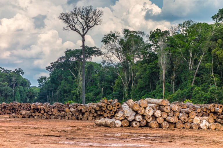 Study finds deforestation accounts for major Amazon rainfall decline