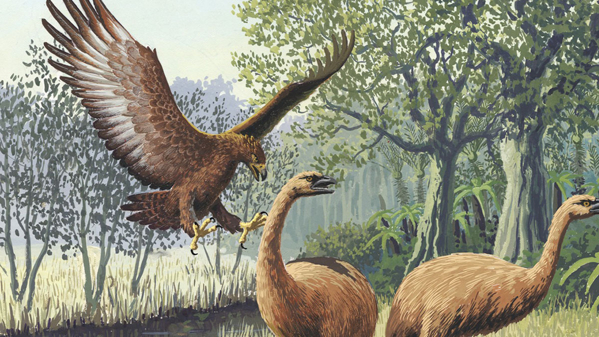 51 Legends And Myths Once Considered Hoaxes That Evidence Later Proved True