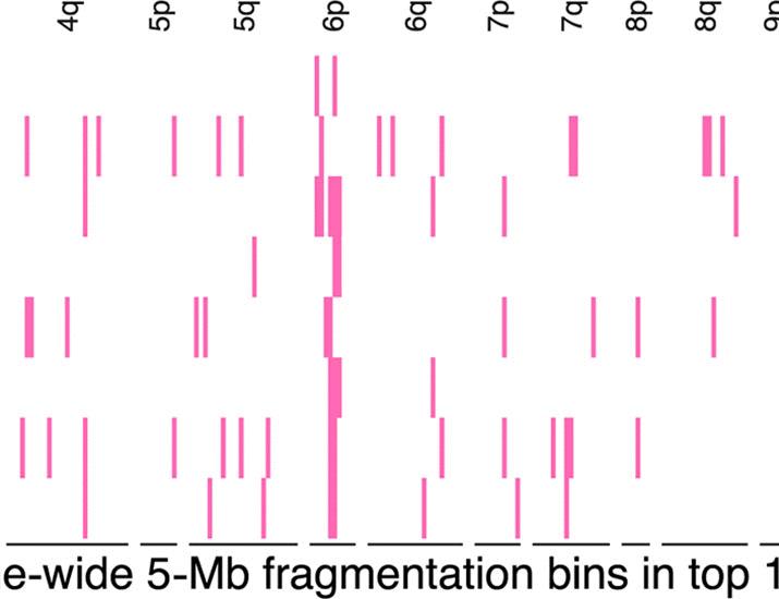 Cell-free DNA fragmentomes for noninvasive detection of liver cirrhosis and other diseases | Science Translational Medicine