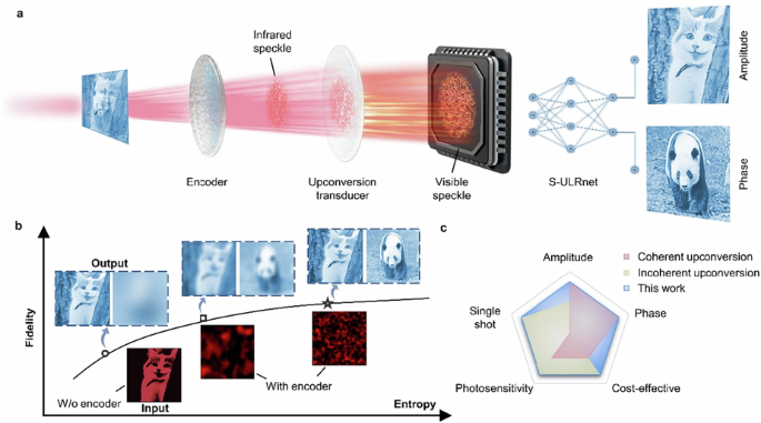 Upconversion optical entropy encoding for infrared complex-amplitude imaging