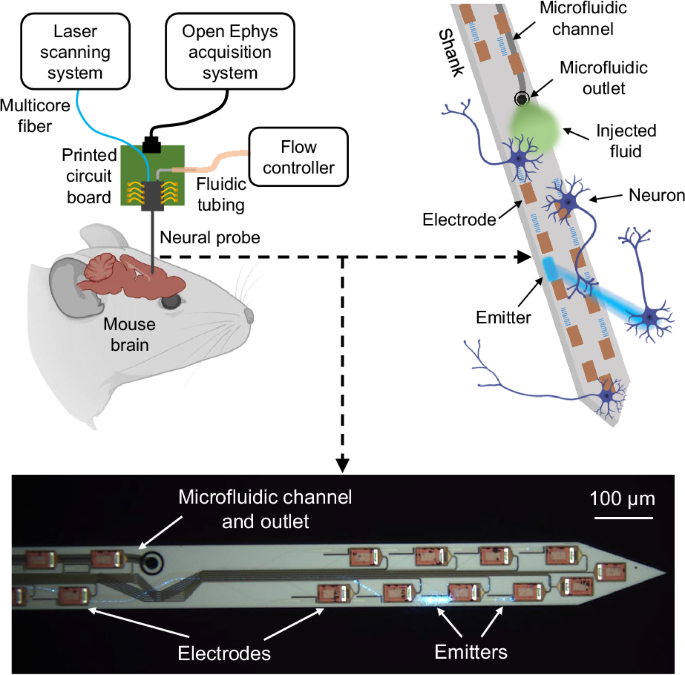 Nanophotonic neural probes for in vivo photostimulation, electrophysiology, and microfluidic delivery