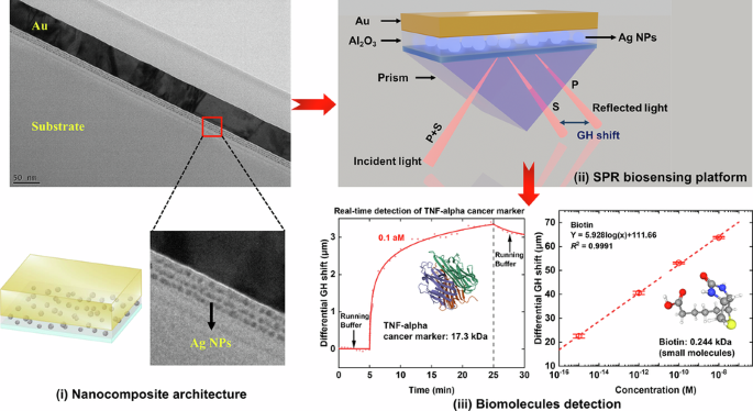 Extreme sensitivity label-free biosensing platform based on topologically disruptive phase nano-optics