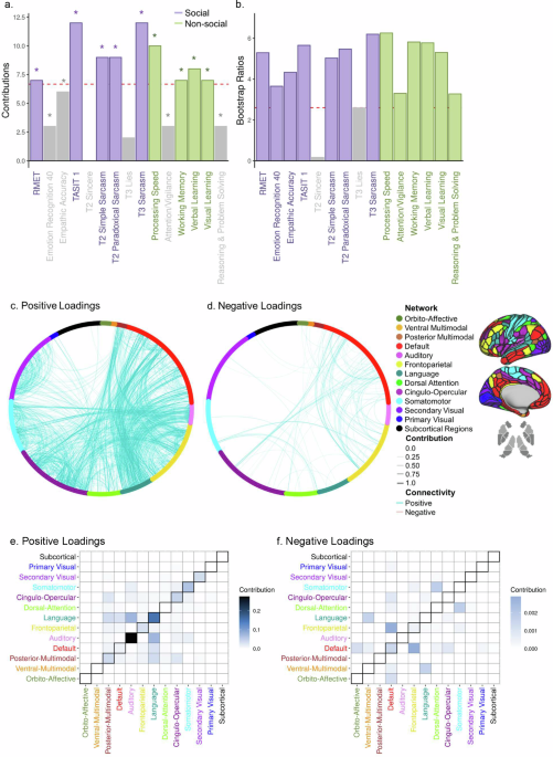 Multivariate relationships between social cognitive performance and functional connectivity during task and rest across schizophrenia spectrum disorders and healthy controls