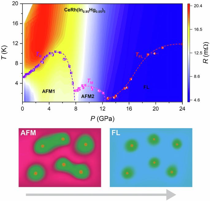 Asymmetric doping effects on the quantum critical compound CeRhIn5