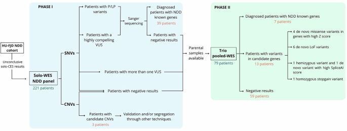 Accurate and cost-effective workflow integrating trio pooled-WES for novel gene discovery in neurodevelopmental disorders