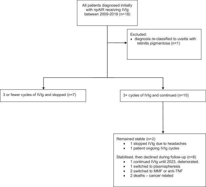 10-year experience in the use of Intravenous Immunoglobulin for Autoimmune Retinopathy
