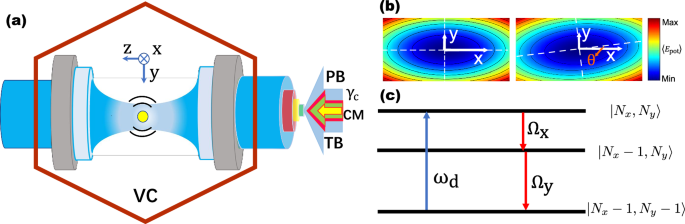 A two-mode thermomechanically squeezed phonon laser