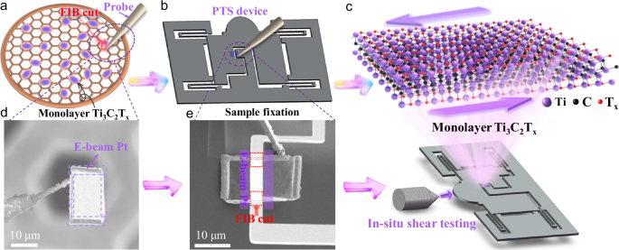 Shear properties and stable wrinkle resistance in 2D Ti3C2Tx MXene monolayers