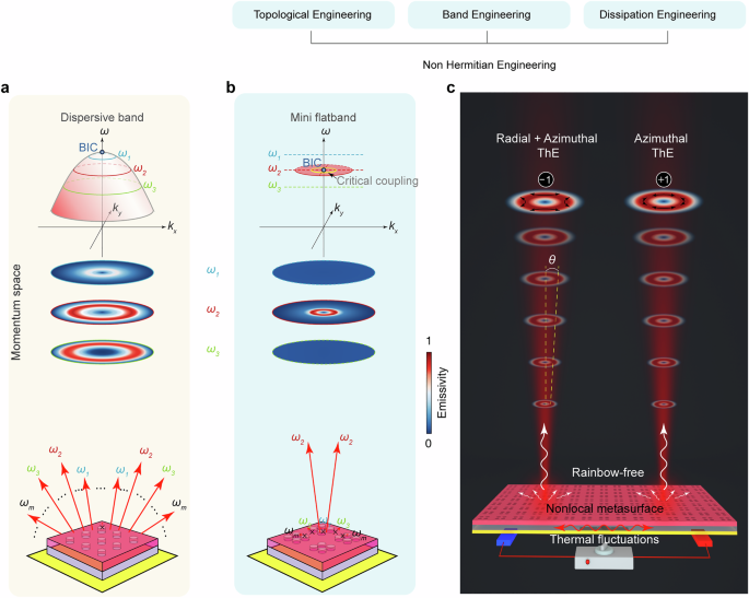 Structured coherent thermal emission from non-Hermitian metasurfaces