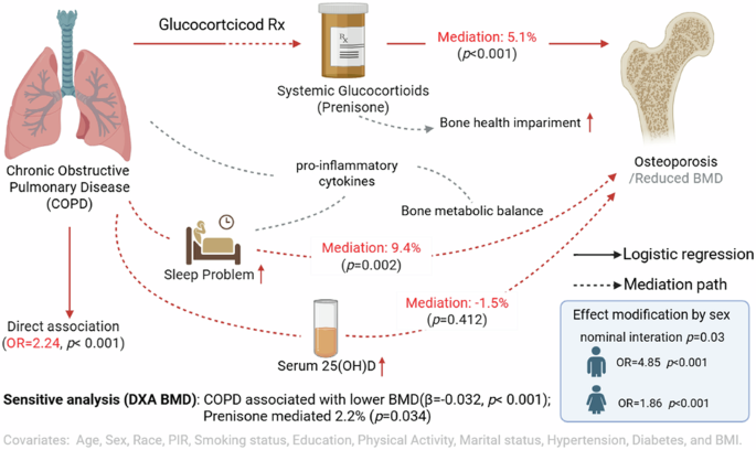 The risk of osteoporosis in COPD: An analysis of sex differences and mediating effects based on NHANES