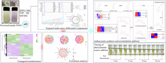 Integrated metabolomics analysis of pigment metabolite accumulation and color development of fresh Dendrobium officinale juice after processing