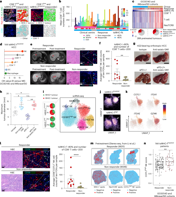 Reinvigorating COTL1high NK cells via GITR signalling overcomes immune checkpoint blockade resistance in tsMHC-I-impaired tumours