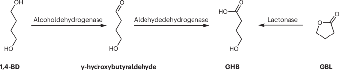 A natural neurotransmitter with negative consequences