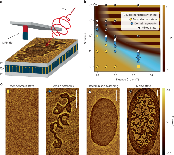 Texture-dependent all-optical switching in ferromagnetic films via stochastic nucleation of nanoscale domains