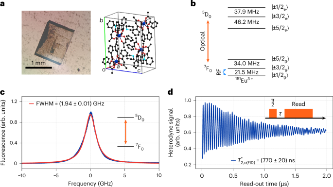 Optically detected nuclear magnetic resonance of coherent spins in a molecular complex