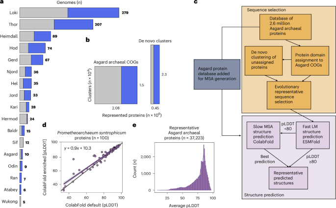 Prediction of eukaryotic cellular complexity in Asgard archaea using structural modelling