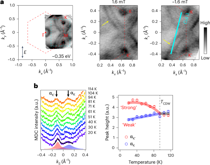 MagnetoARPES reveals time-reversal symmetry breaking in a kagome superconductor