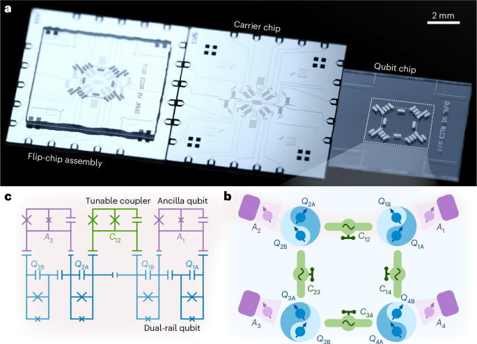 Logical multi-qubit entanglement with dual-rail superconducting qubits