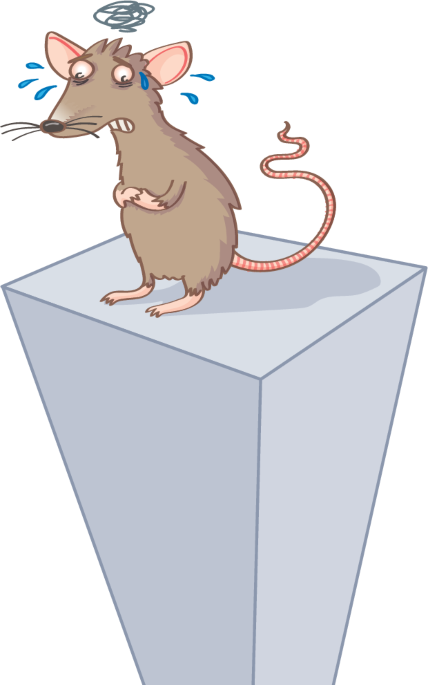 Neuron–eosinophil circuit explains stress-induced eczema flares