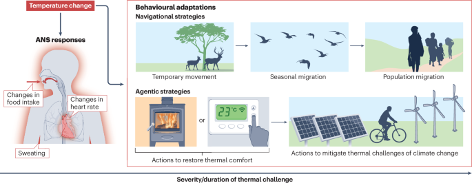 Neural adaptation to climate change: mechanisms, limits and opportunities