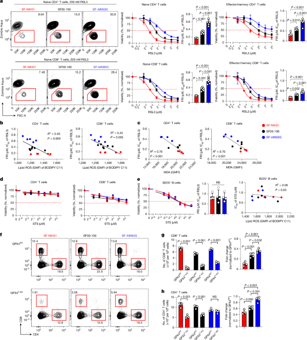 Lipid metabolism drives dietary effects on T cell ferroptosis and immunity