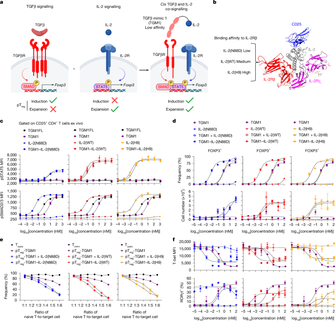 Facile induction of immune tolerance by an interleukin-2–TGFβ surrogate agonist