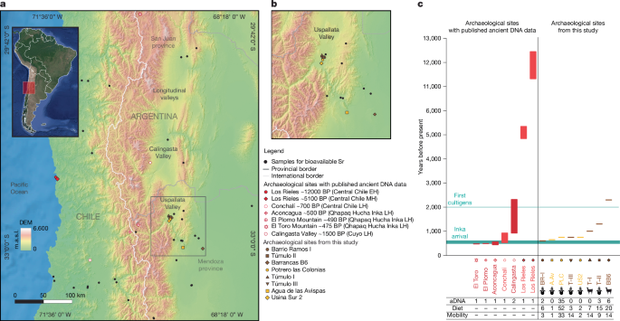 Local agricultural transition, crisis and migration in the Southern Andes