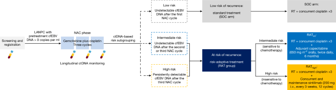 Risk-adaptive therapy guided by dynamic ctDNA in nasopharyngeal carcinoma