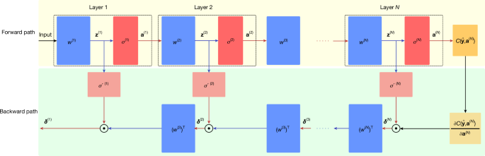 Integrated photonic neural network with on-chip backpropagation training