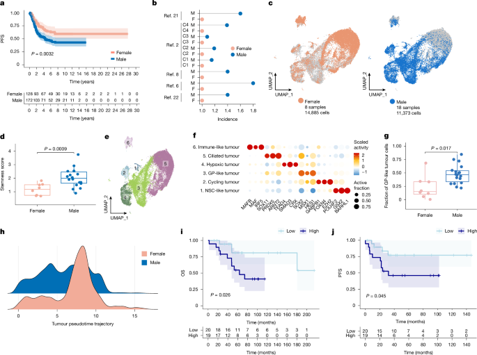 Androgen activity in the male embryonic hindbrain drives lethal PFA ependymoma