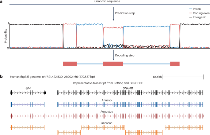 Learning genes deeply | Nature Methods