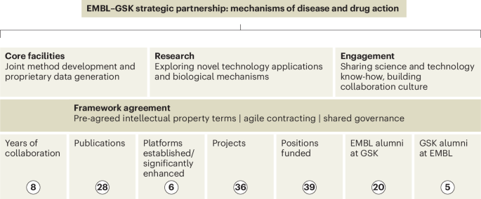 Factors for a successful partnership between academia and industry