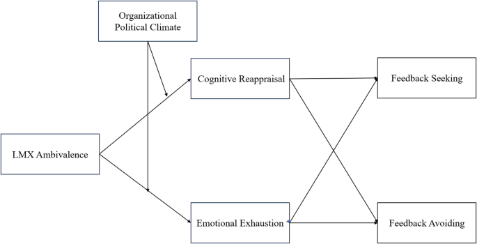 How leader–member exchange ambivalence influences employee feedback seeking and avoidance